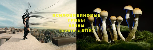 мескалин Зеленокумск